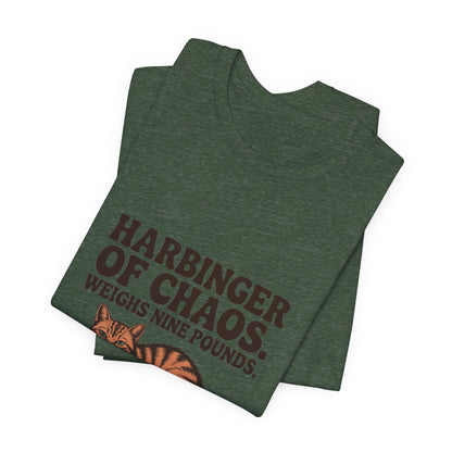 Orange Tabby — Harbinger of chaos. Weighs nine pounds