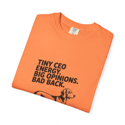 Dachshund — Tiny CEO energy. Big opinions. Bad back