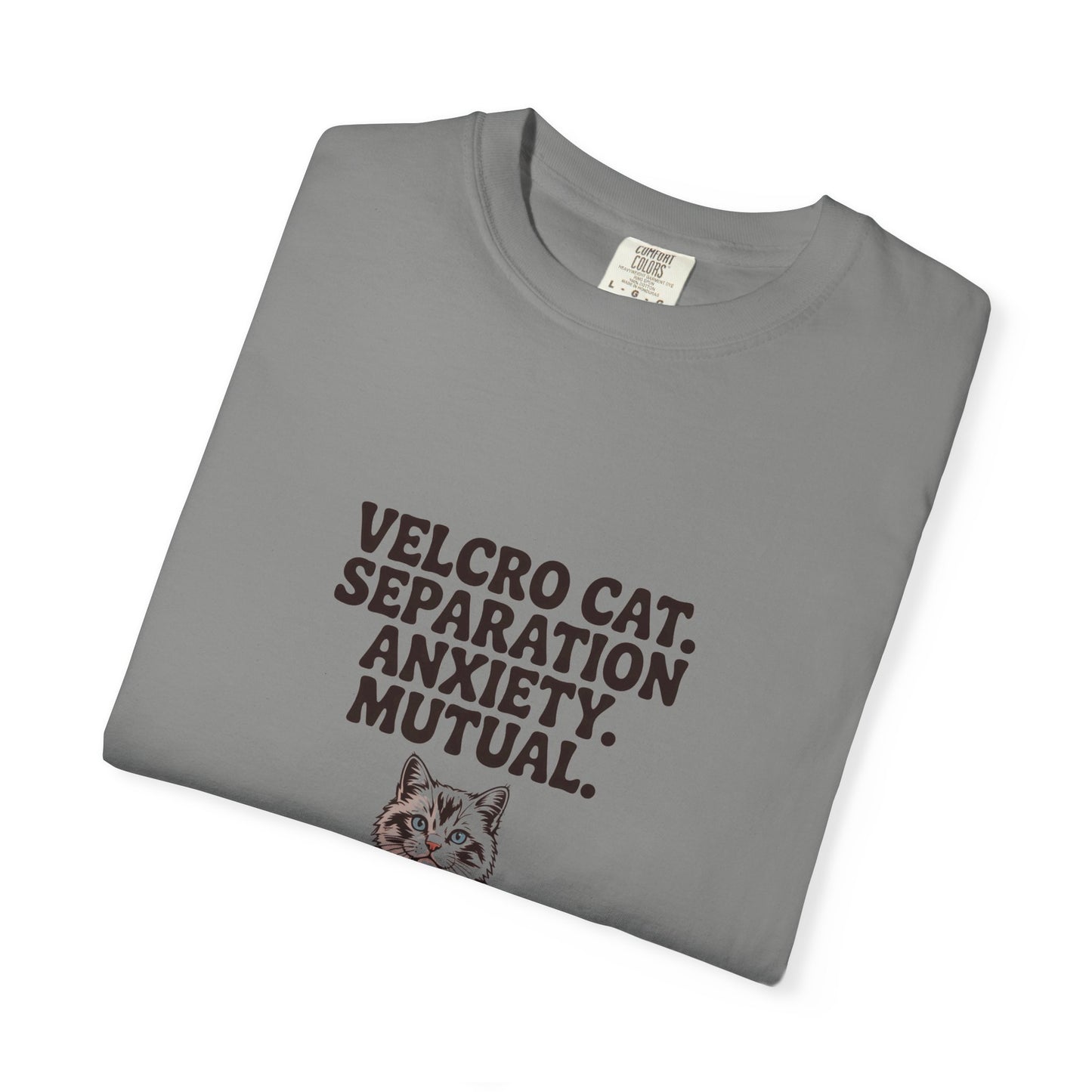 Ragdoll — Velcro cat. Separation anxiety. Mutual