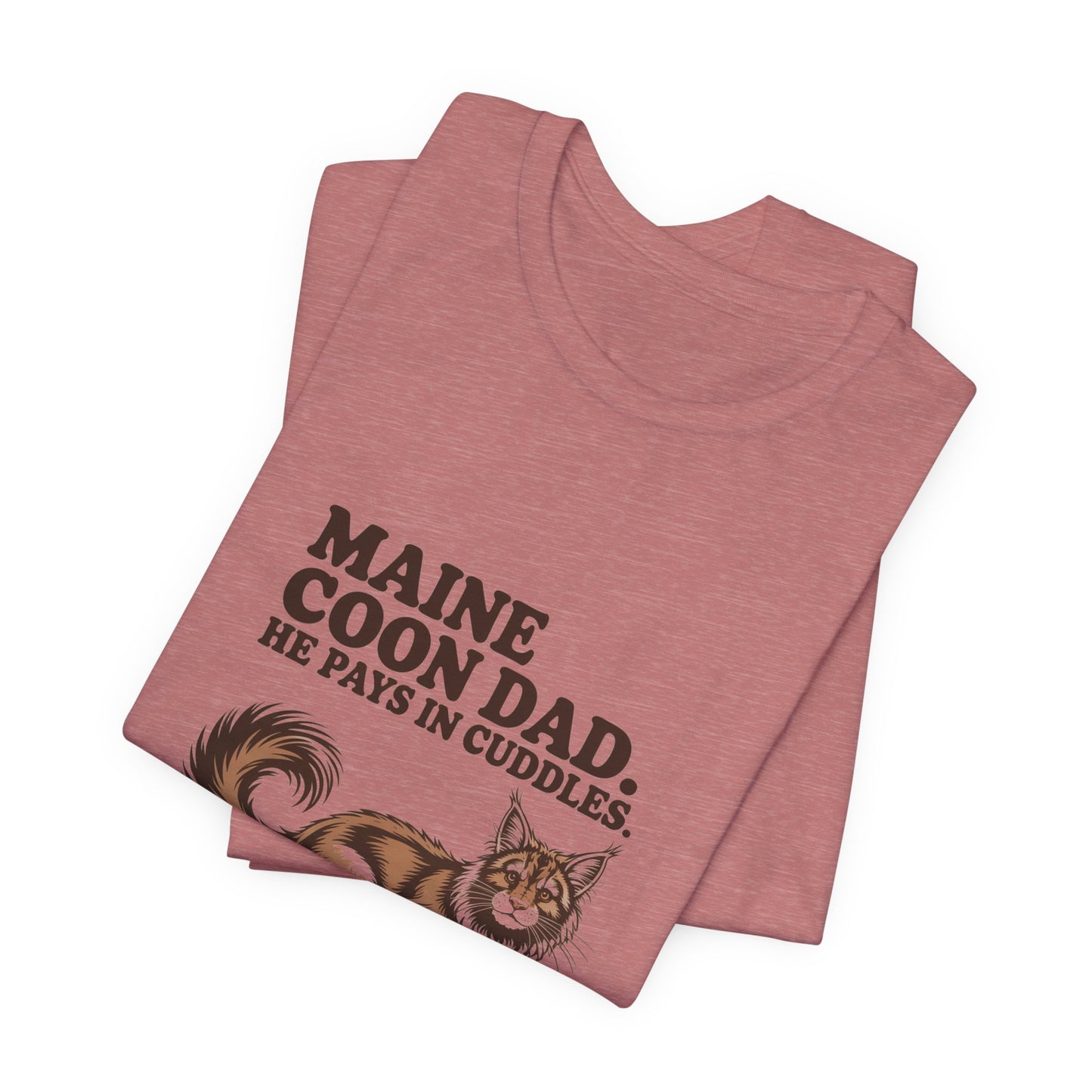 Maine Coon — Maine Coon Dad. He pays in cuddles