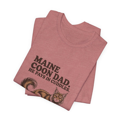 Maine Coon — Maine Coon Dad. He pays in cuddles