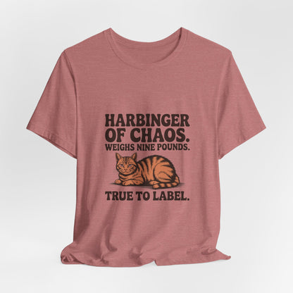 Orange Tabby — Harbinger of chaos. Weighs nine pounds