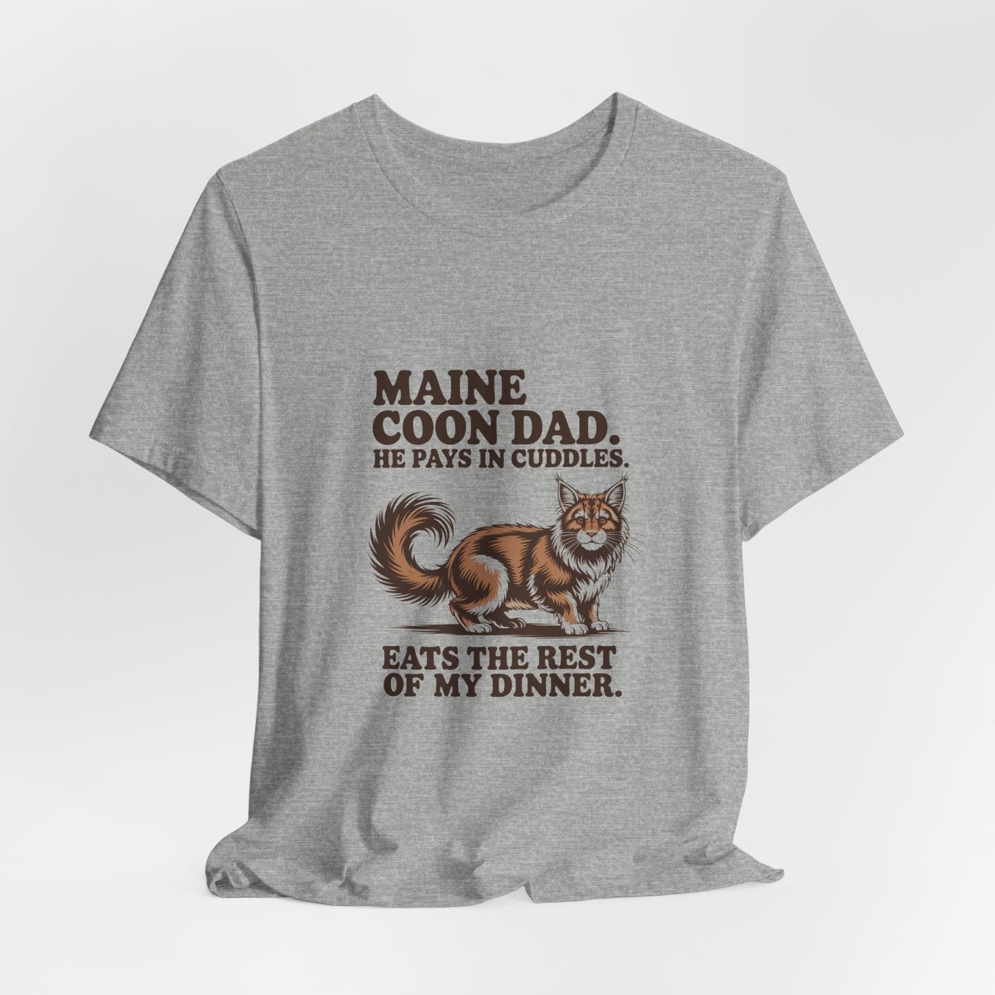Maine Coon — Maine Coon Dad. He pays in cuddles