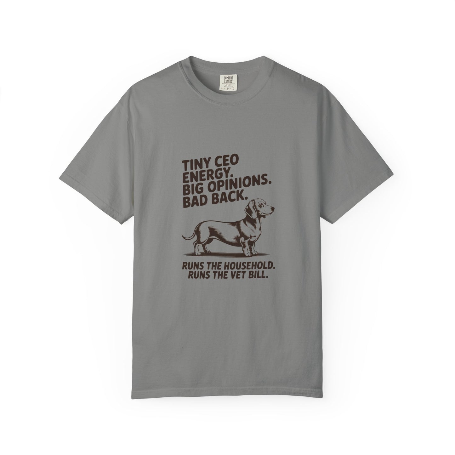 Dachshund — Tiny CEO energy. Big opinions. Bad back