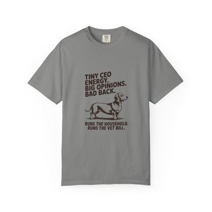 Dachshund — Tiny CEO energy. Big opinions. Bad back