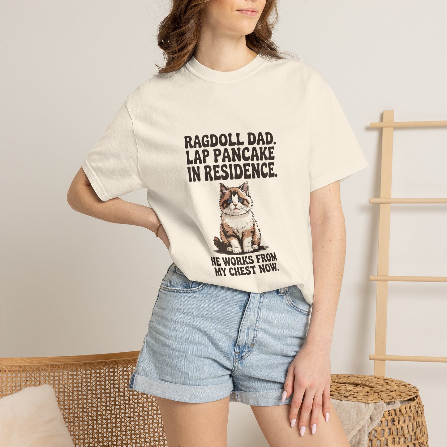 Ragdoll — Ragdoll Dad. Lap pancake in residence