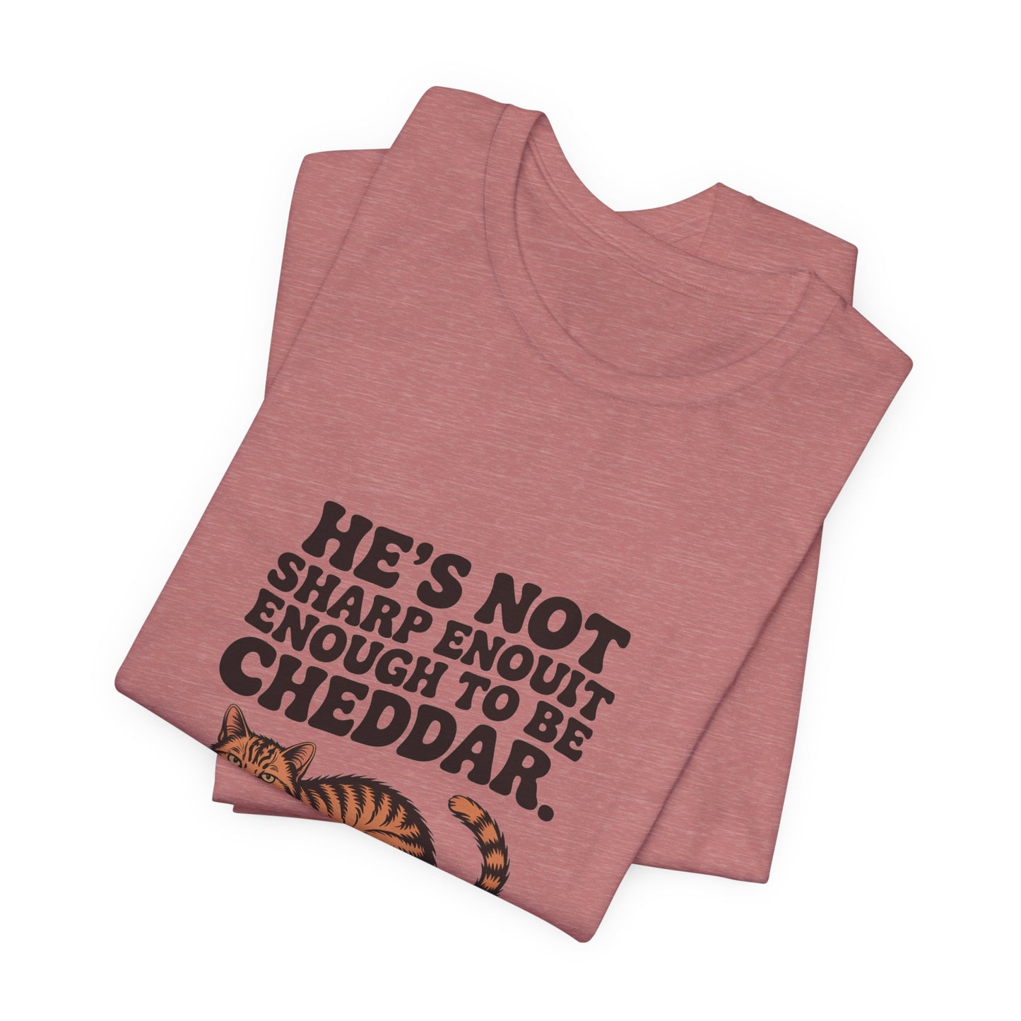 Orange Tabby — He's not sharp enough to be cheddar