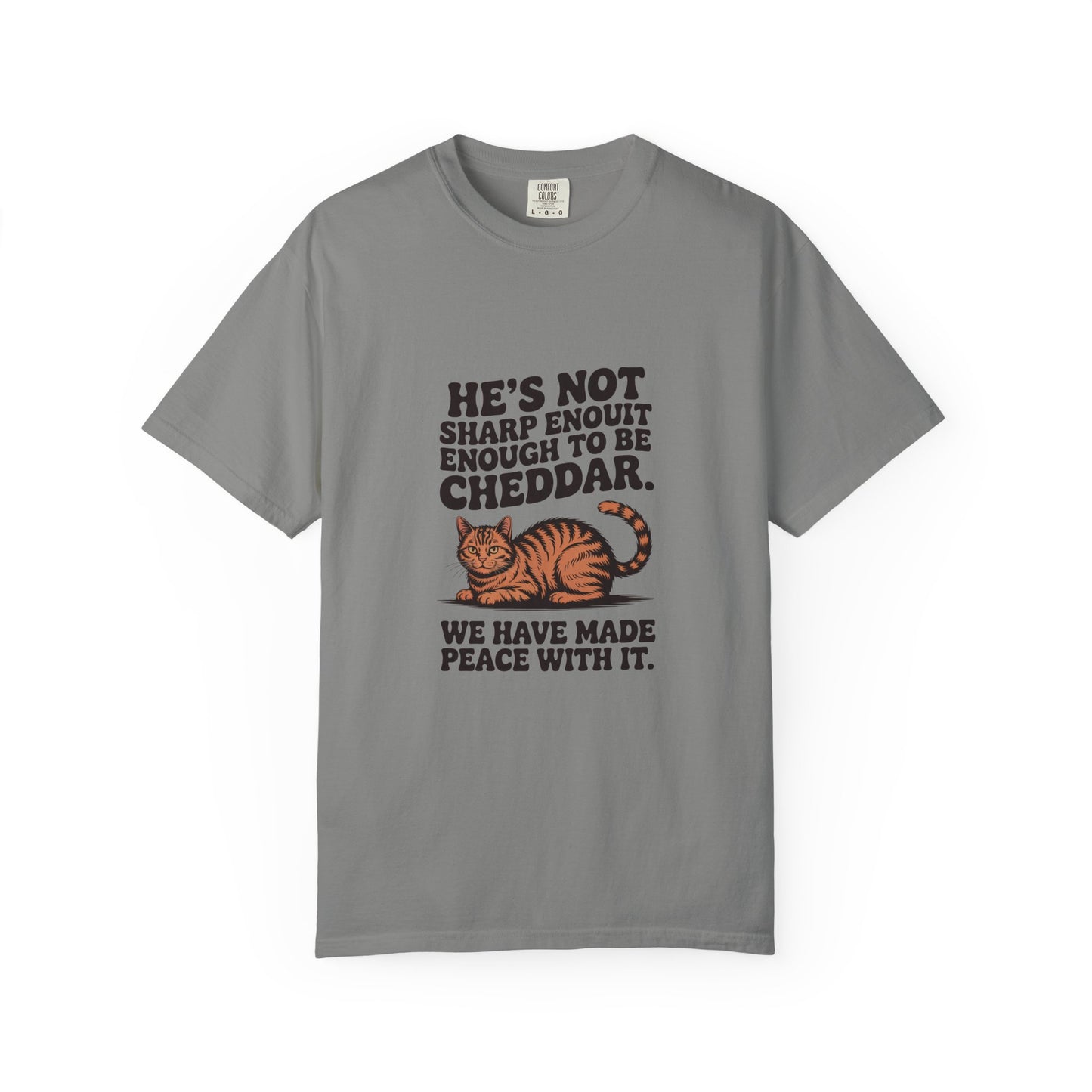 Orange Tabby — He's not sharp enough to be cheddar