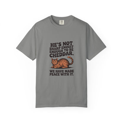Orange Tabby — He's not sharp enough to be cheddar