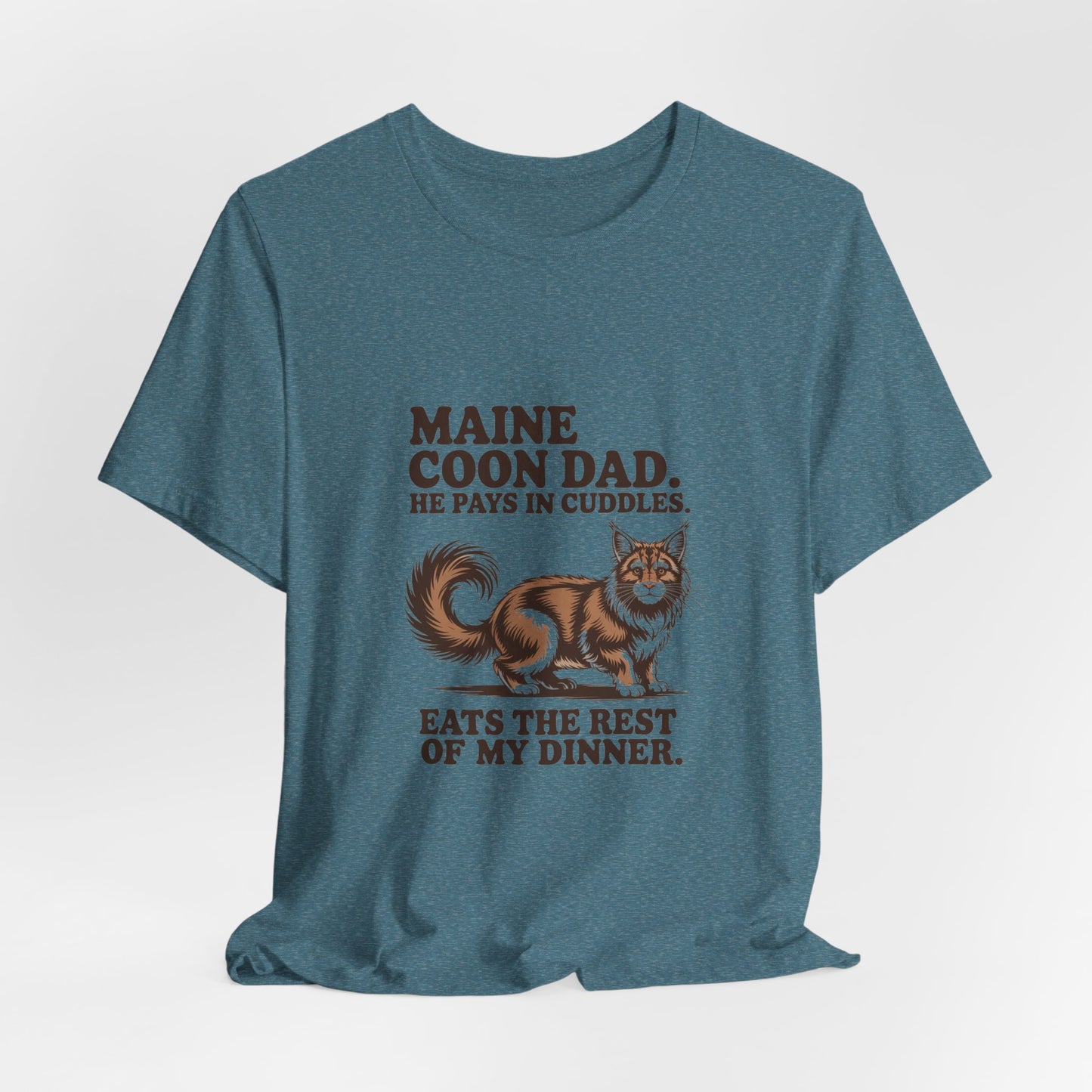 Maine Coon — Maine Coon Dad. He pays in cuddles