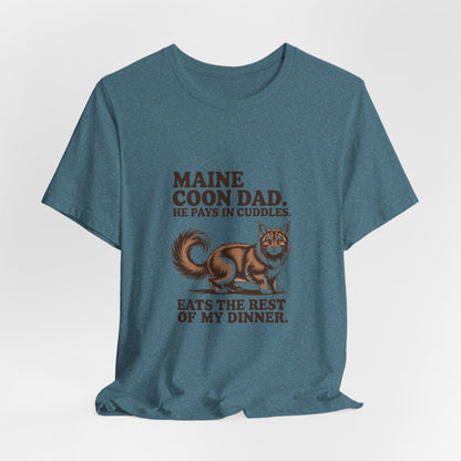 Maine Coon — Maine Coon Dad. He pays in cuddles