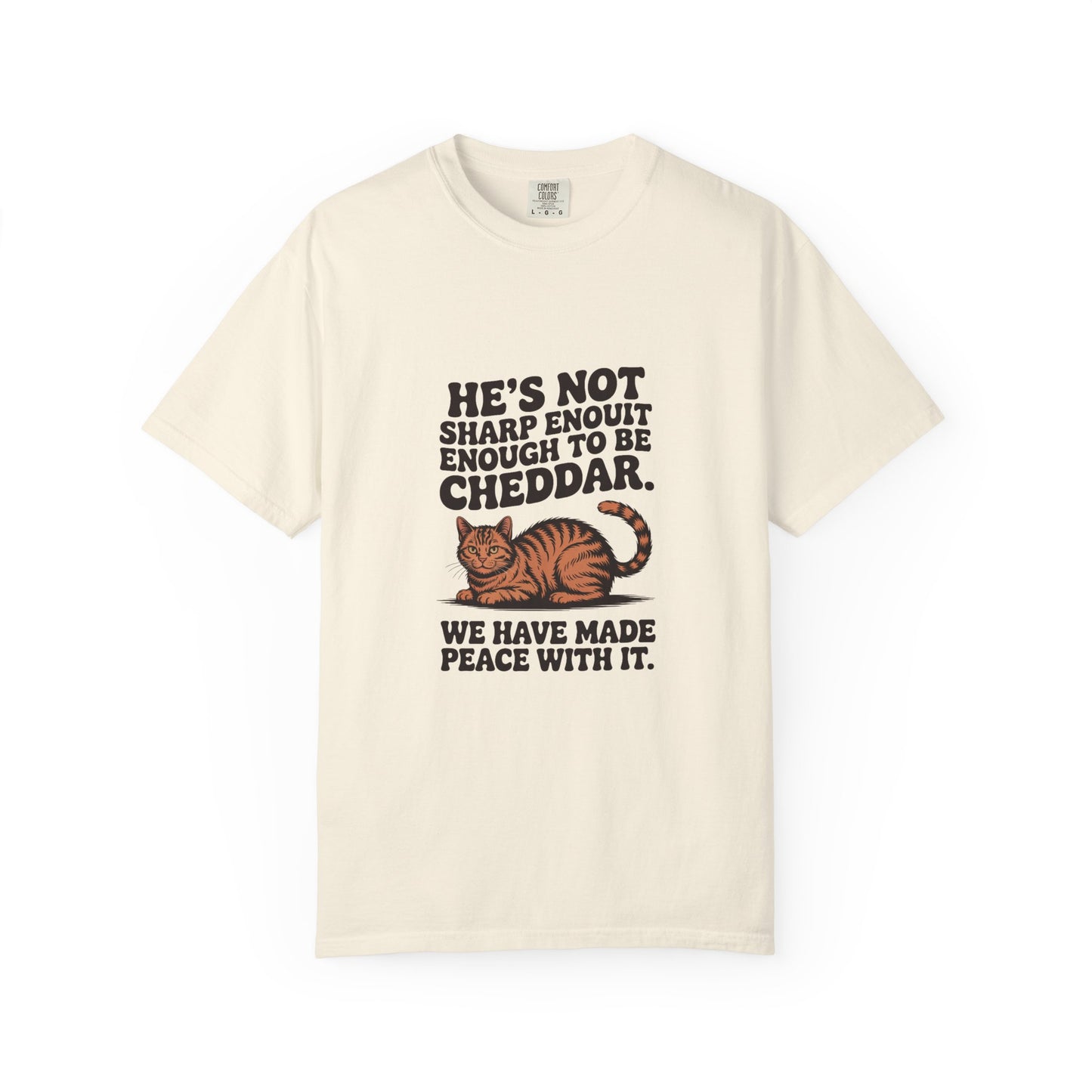 Orange Tabby — He's not sharp enough to be cheddar