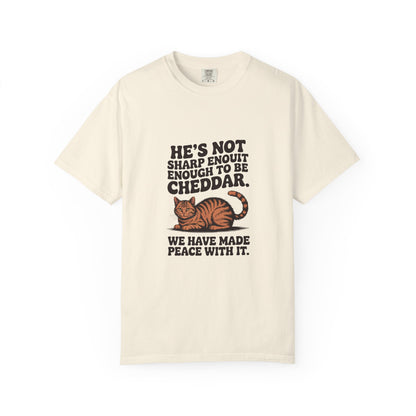 Orange Tabby — He's not sharp enough to be cheddar