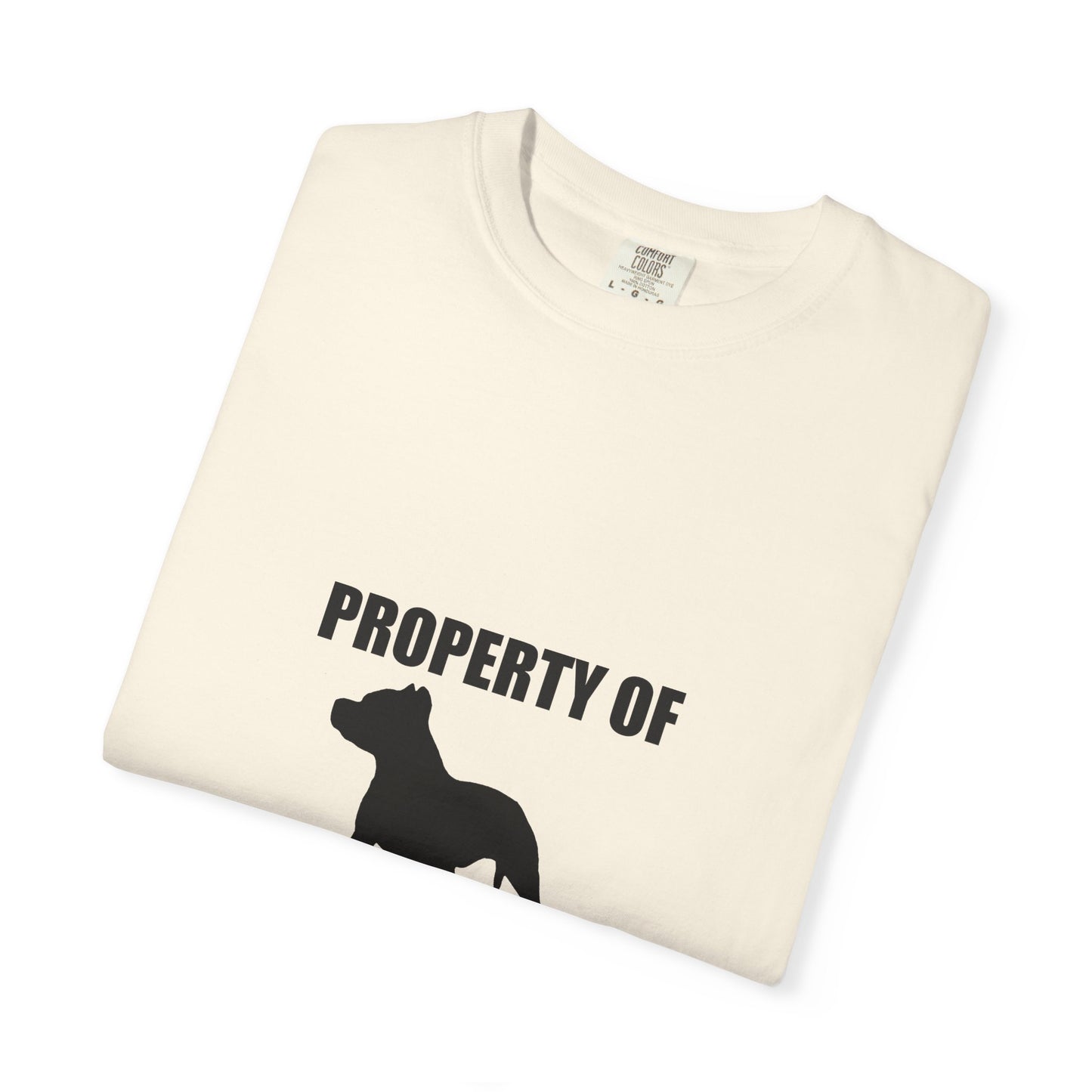 Pitbull — Property of My Pitbull