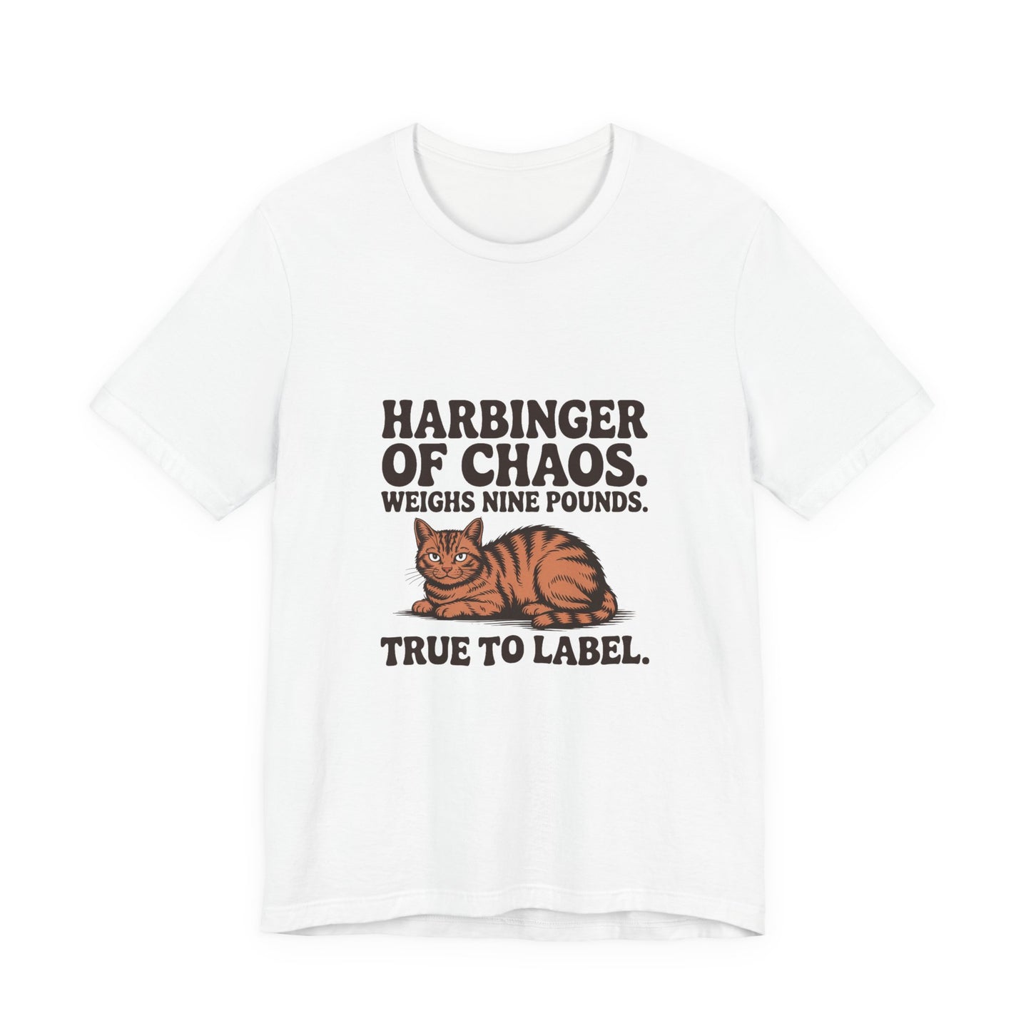 Orange Tabby — Harbinger of chaos. Weighs nine pounds
