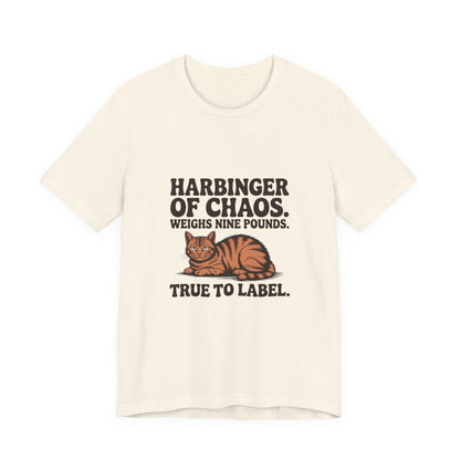 Orange Tabby — Harbinger of chaos. Weighs nine pounds