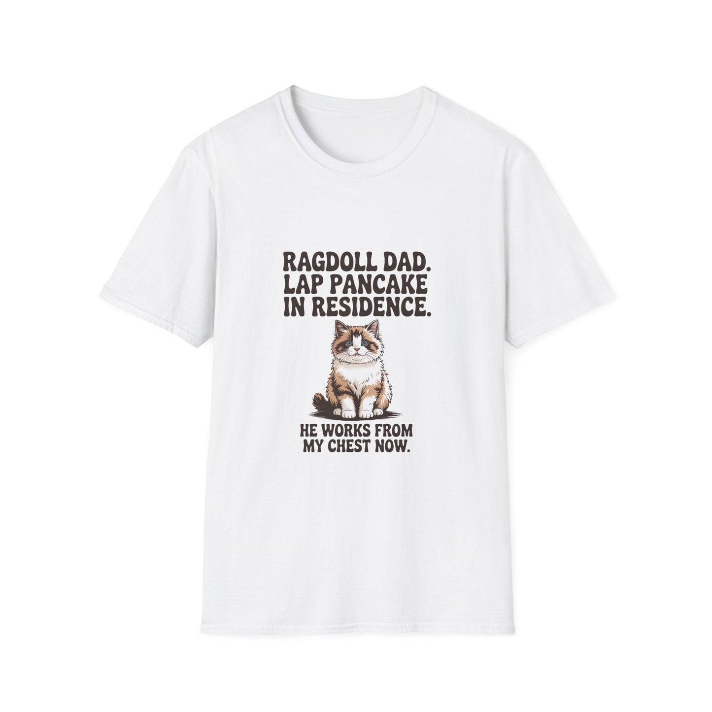 Ragdoll — Ragdoll Dad. Lap pancake in residence