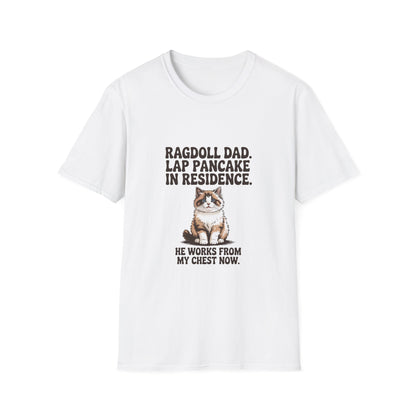 Ragdoll — Ragdoll Dad. Lap pancake in residence