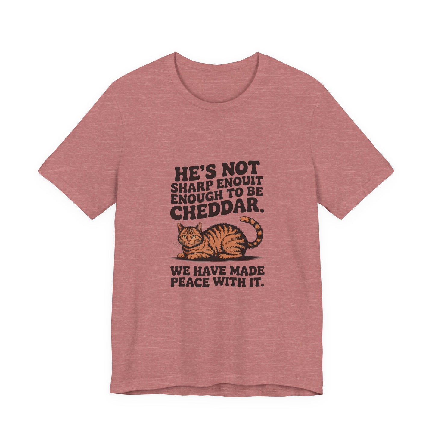 Orange Tabby — He's not sharp enough to be cheddar