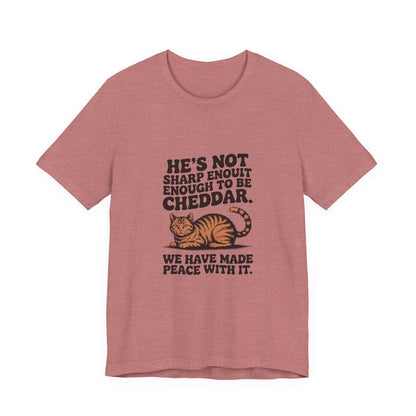 Orange Tabby — He's not sharp enough to be cheddar