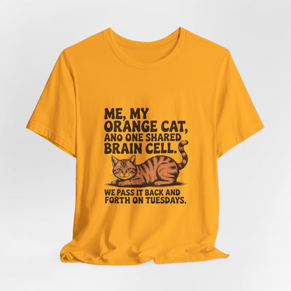 Orange Tabby — Me, my orange cat, and one shared brain cell