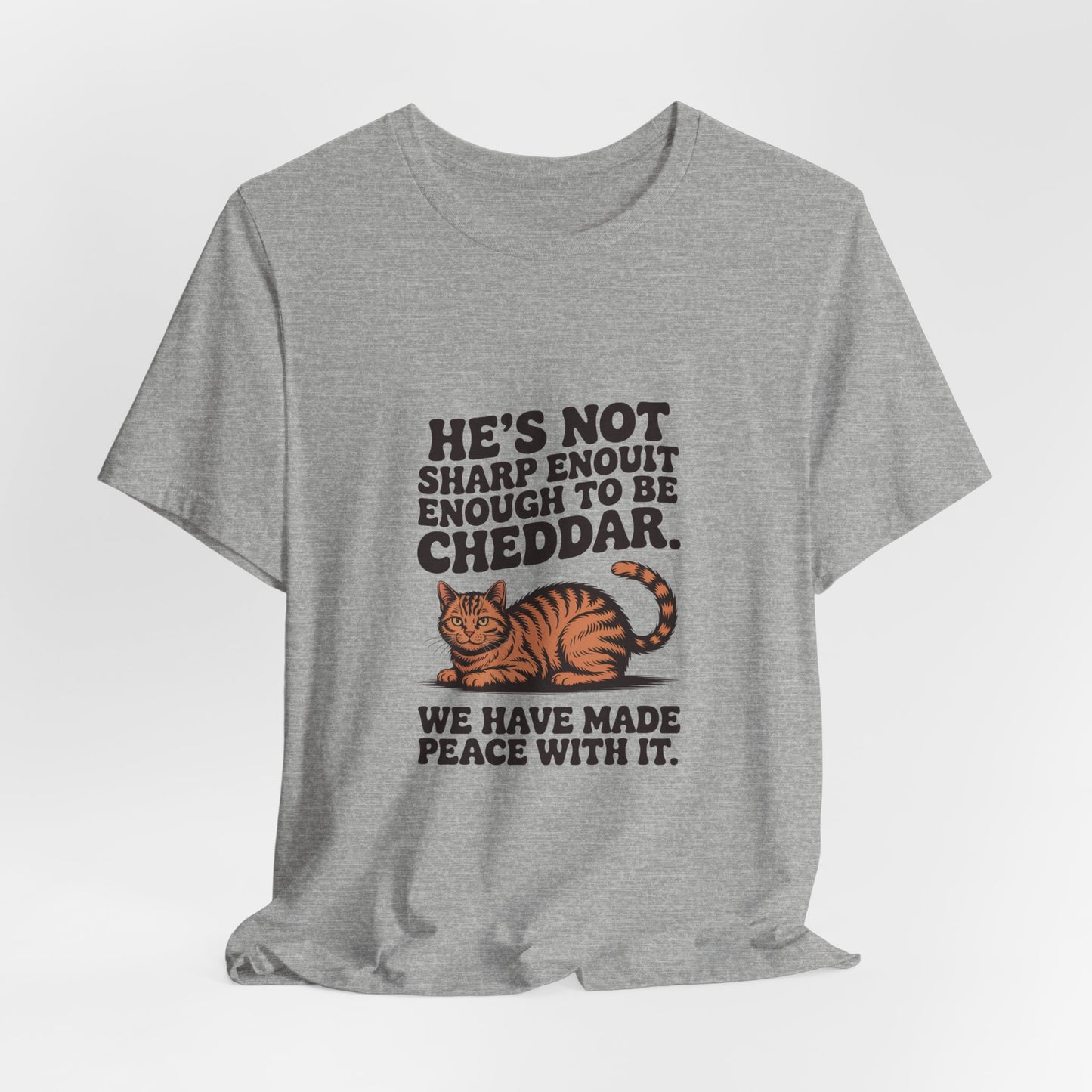 Orange Tabby — He's not sharp enough to be cheddar