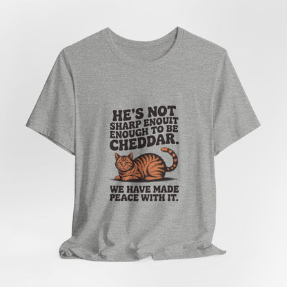 Orange Tabby — He's not sharp enough to be cheddar