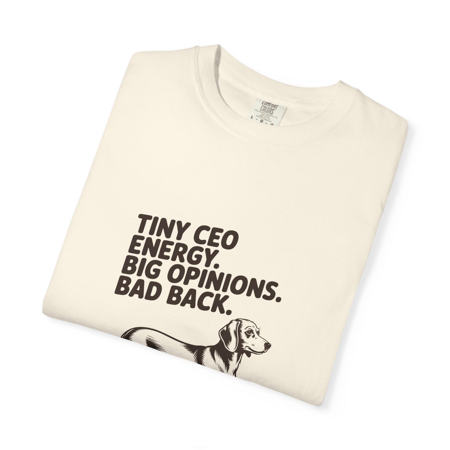 Dachshund — Tiny CEO energy. Big opinions. Bad back