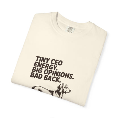 Dachshund — Tiny CEO energy. Big opinions. Bad back