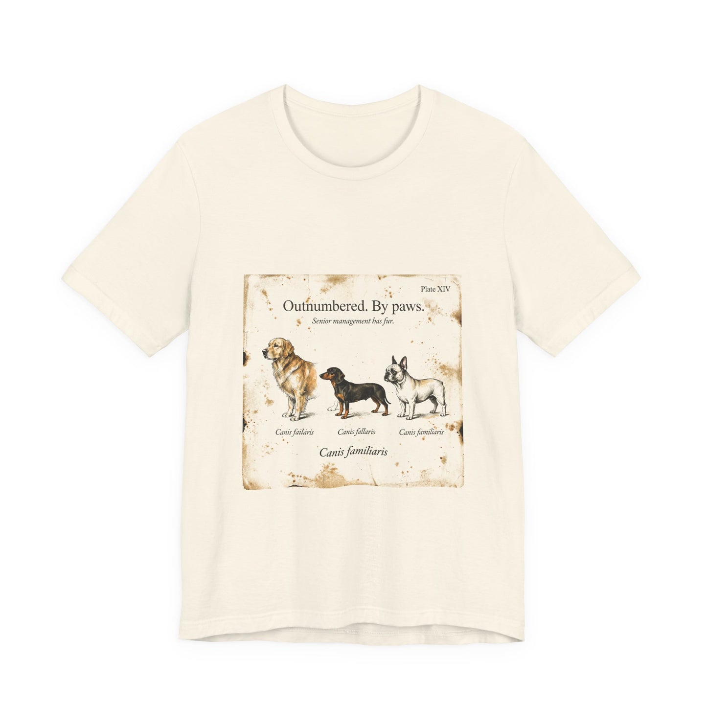 Dog Mom — Outnumbered by Paws