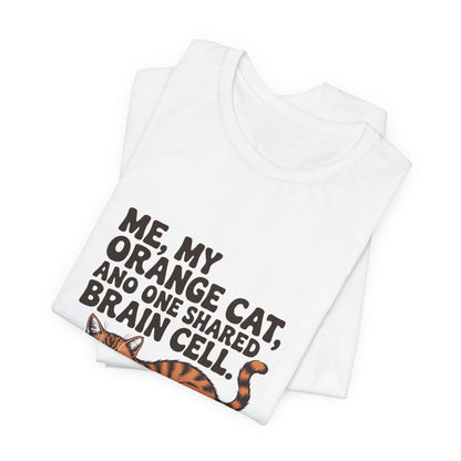 Orange Tabby — Me, my orange cat, and one shared brain cell