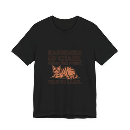 Orange Tabby — Harbinger of chaos. Weighs nine pounds