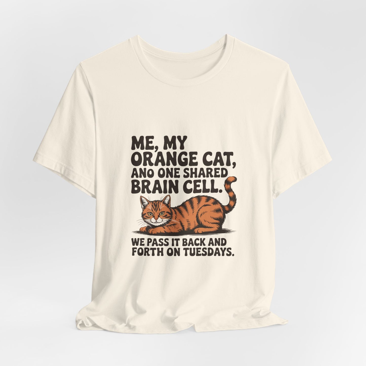Orange Tabby — Me, my orange cat, and one shared brain cell