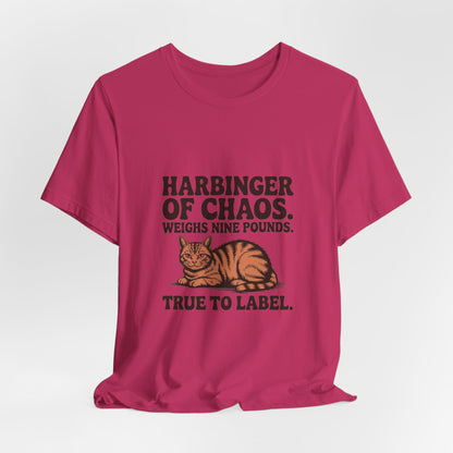 Orange Tabby — Harbinger of chaos. Weighs nine pounds