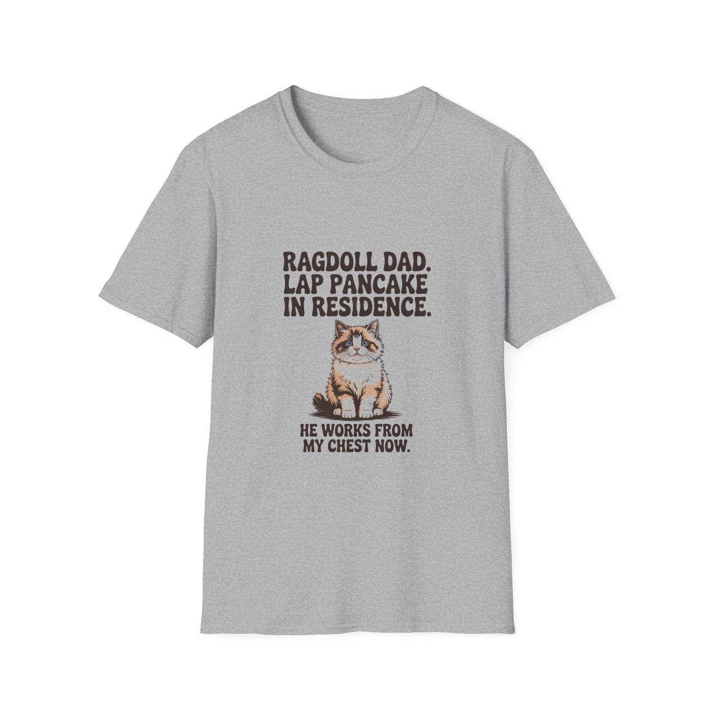 Ragdoll — Ragdoll Dad. Lap pancake in residence