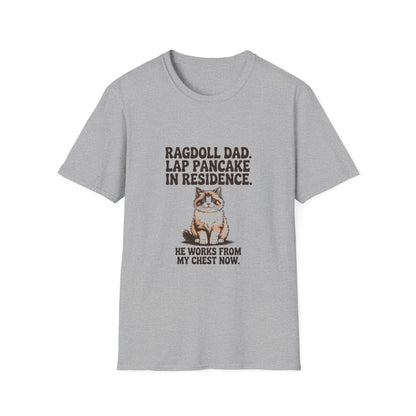 Ragdoll — Ragdoll Dad. Lap pancake in residence