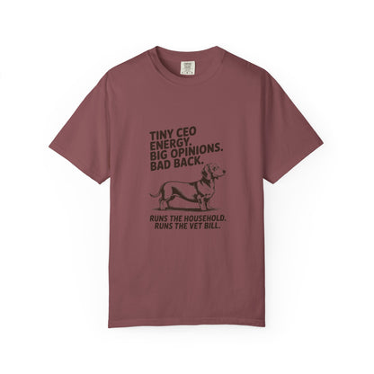 Dachshund — Tiny CEO energy. Big opinions. Bad back