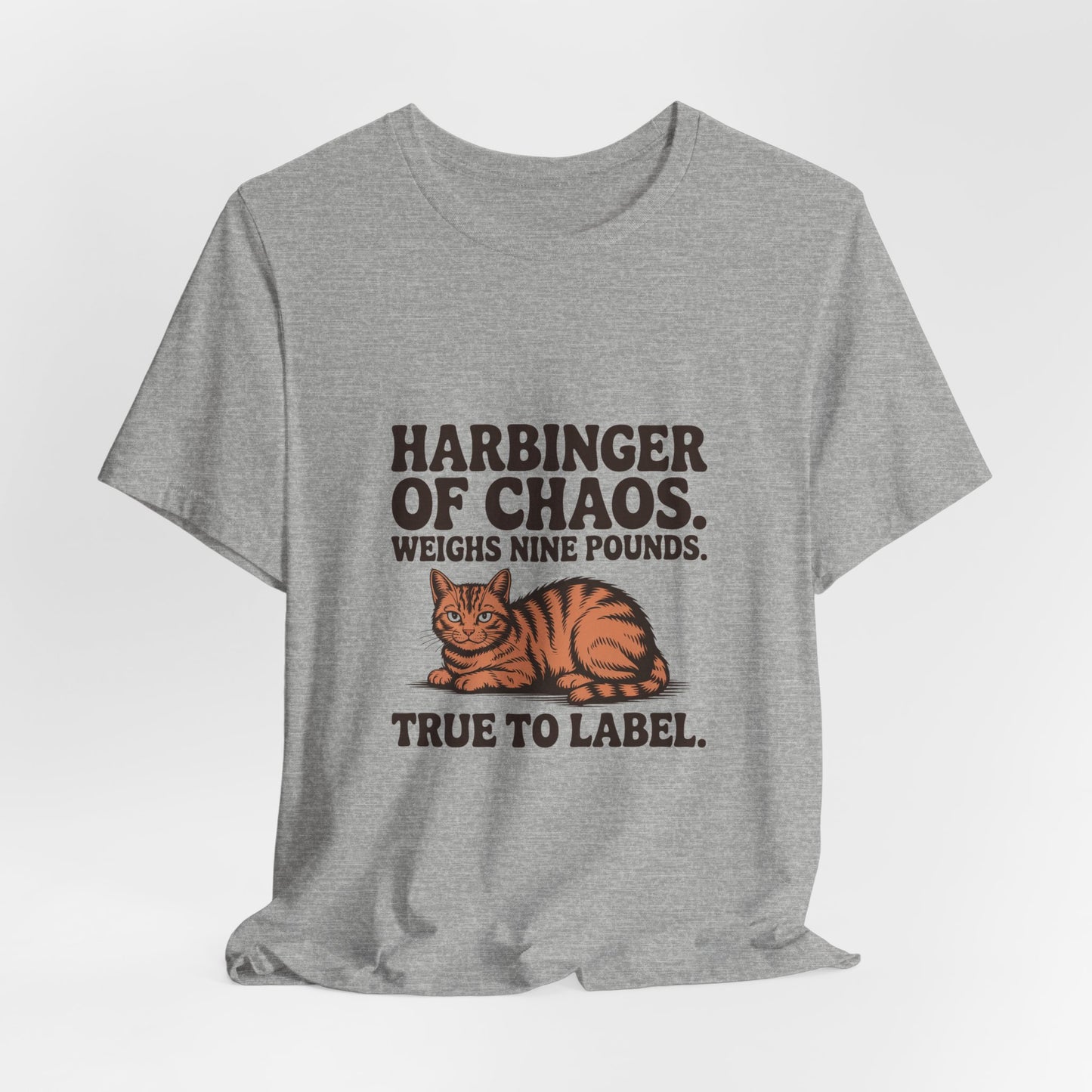 Orange Tabby — Harbinger of chaos. Weighs nine pounds