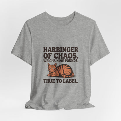 Orange Tabby — Harbinger of chaos. Weighs nine pounds
