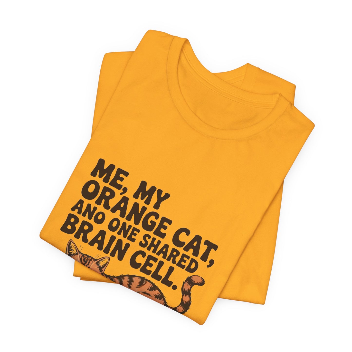 Orange Tabby — Me, my orange cat, and one shared brain cell