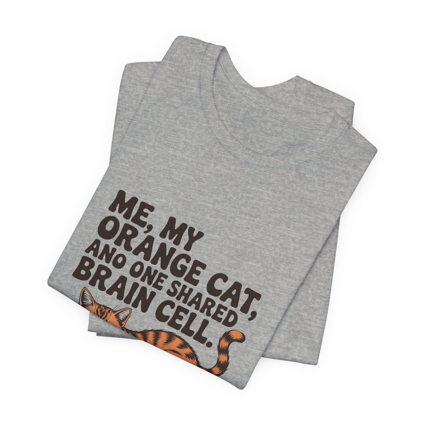 Orange Tabby — Me, my orange cat, and one shared brain cell