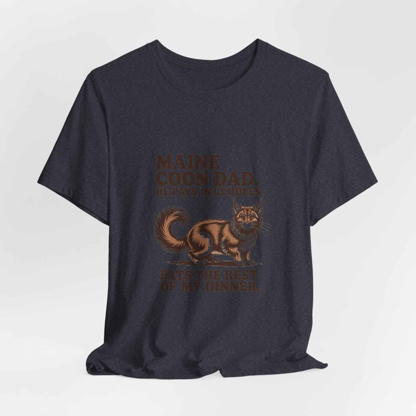 Maine Coon — Maine Coon Dad. He pays in cuddles
