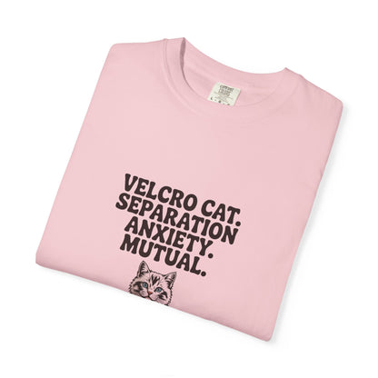 Ragdoll — Velcro cat. Separation anxiety. Mutual