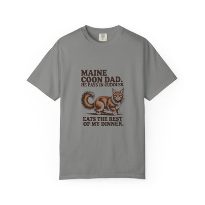 Maine Coon — Maine Coon Dad. He pays in cuddles
