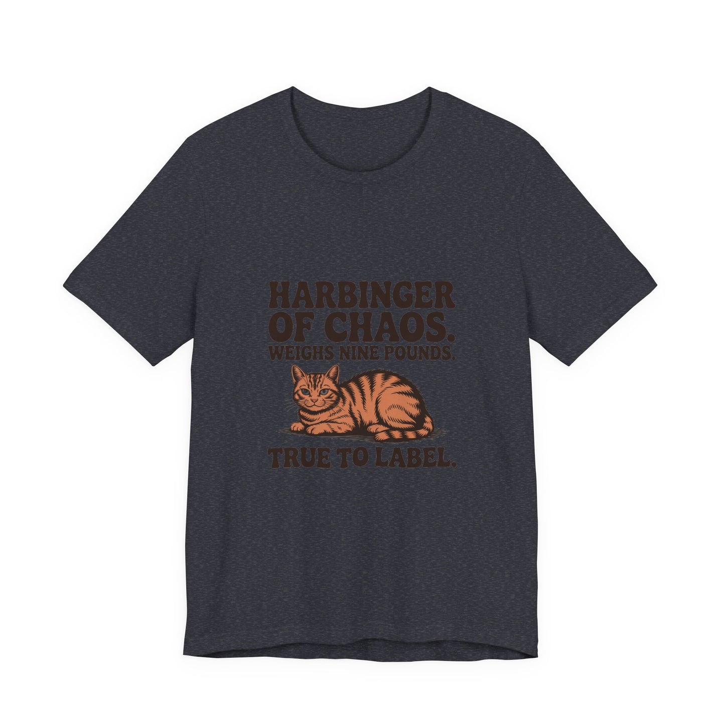 Orange Tabby — Harbinger of chaos. Weighs nine pounds