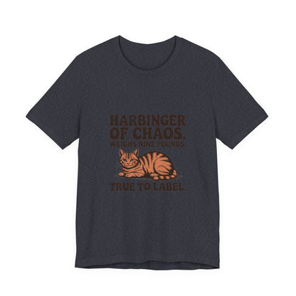 Orange Tabby — Harbinger of chaos. Weighs nine pounds