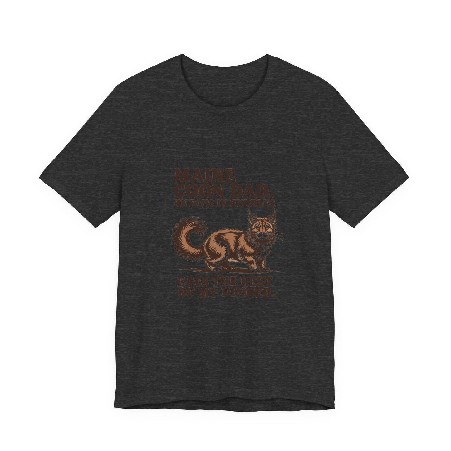 Maine Coon — Maine Coon Dad. He pays in cuddles