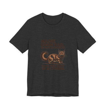 Maine Coon — Maine Coon Dad. He pays in cuddles
