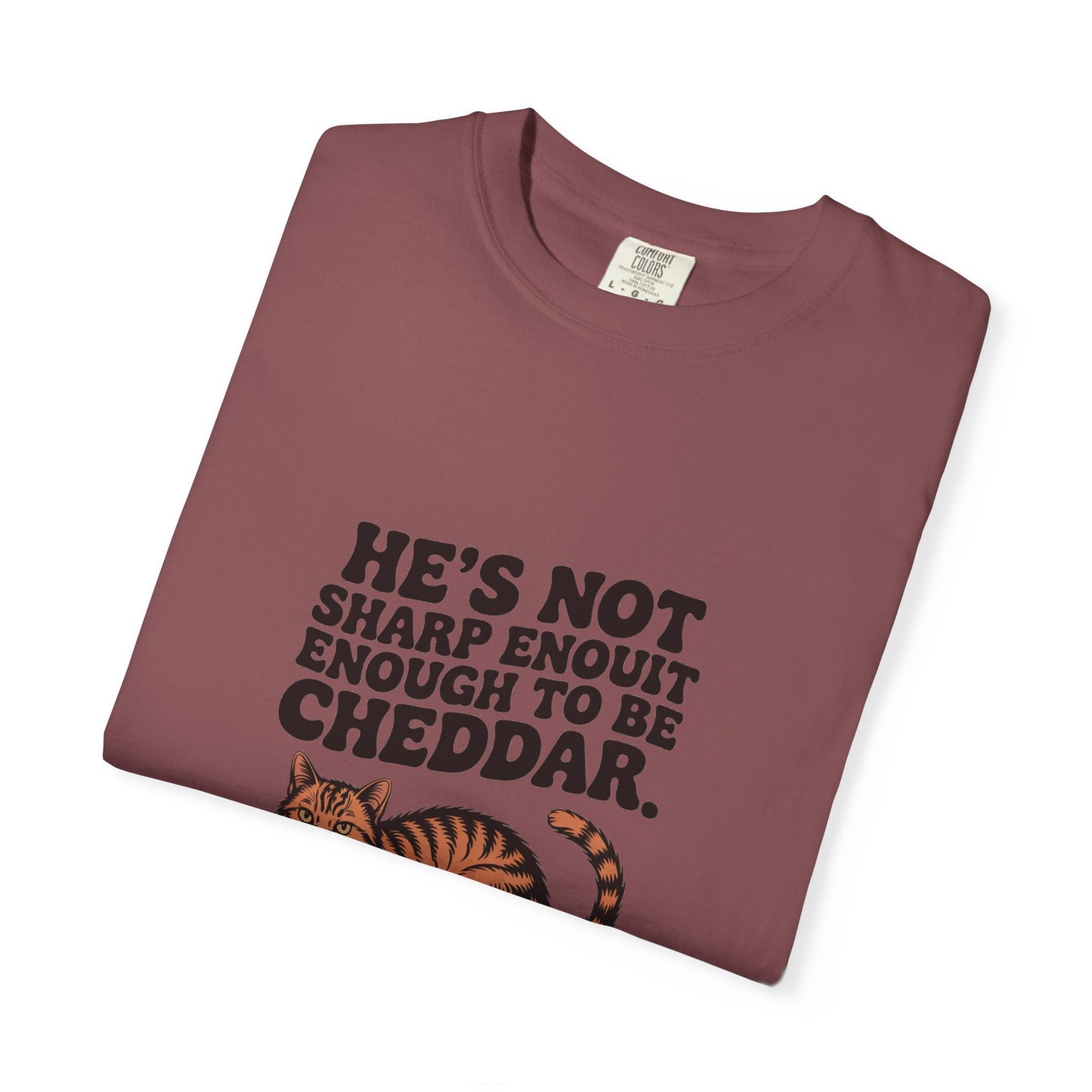 Orange Tabby — He's not sharp enough to be cheddar