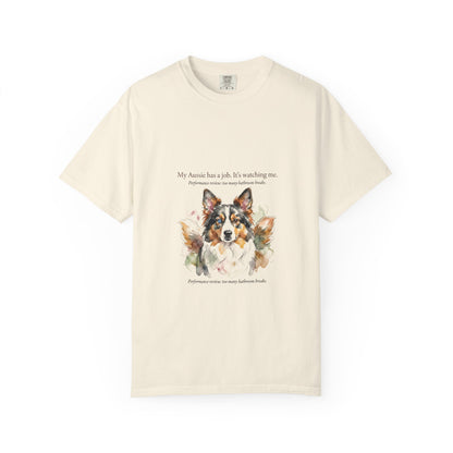 Australian Shepherd — My Aussie Has a Job
